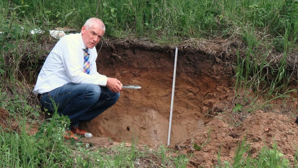 Boreal forest soils