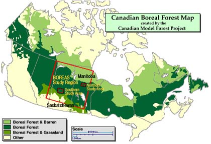 taiga biome map