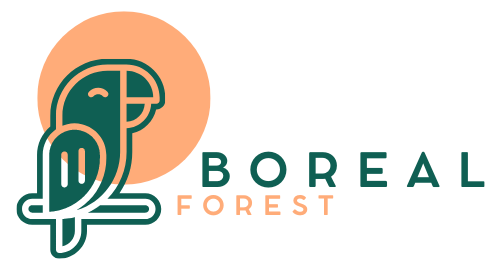 Boreal Forest